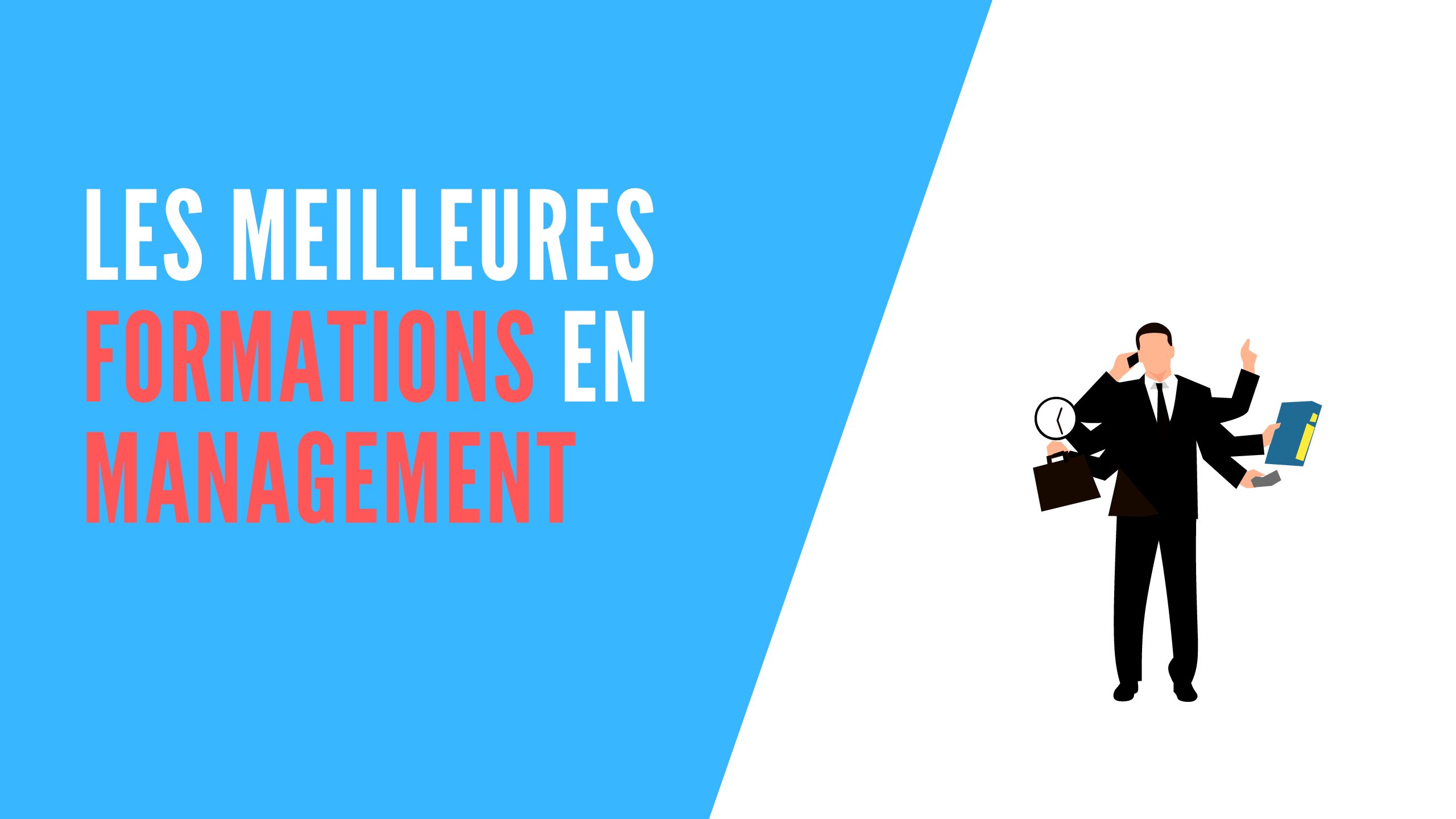 You are currently viewing Les meilleures formations en management
