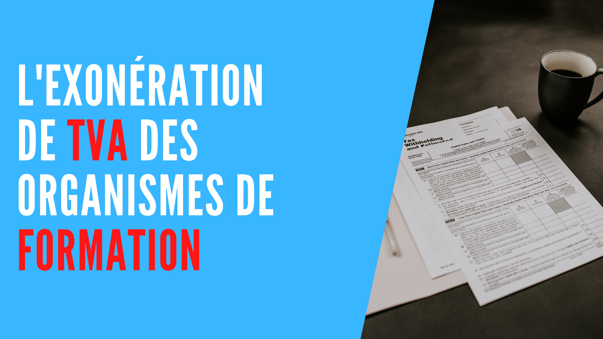 You are currently viewing L’exonération de TVA des Organismes de Formation (OF)
