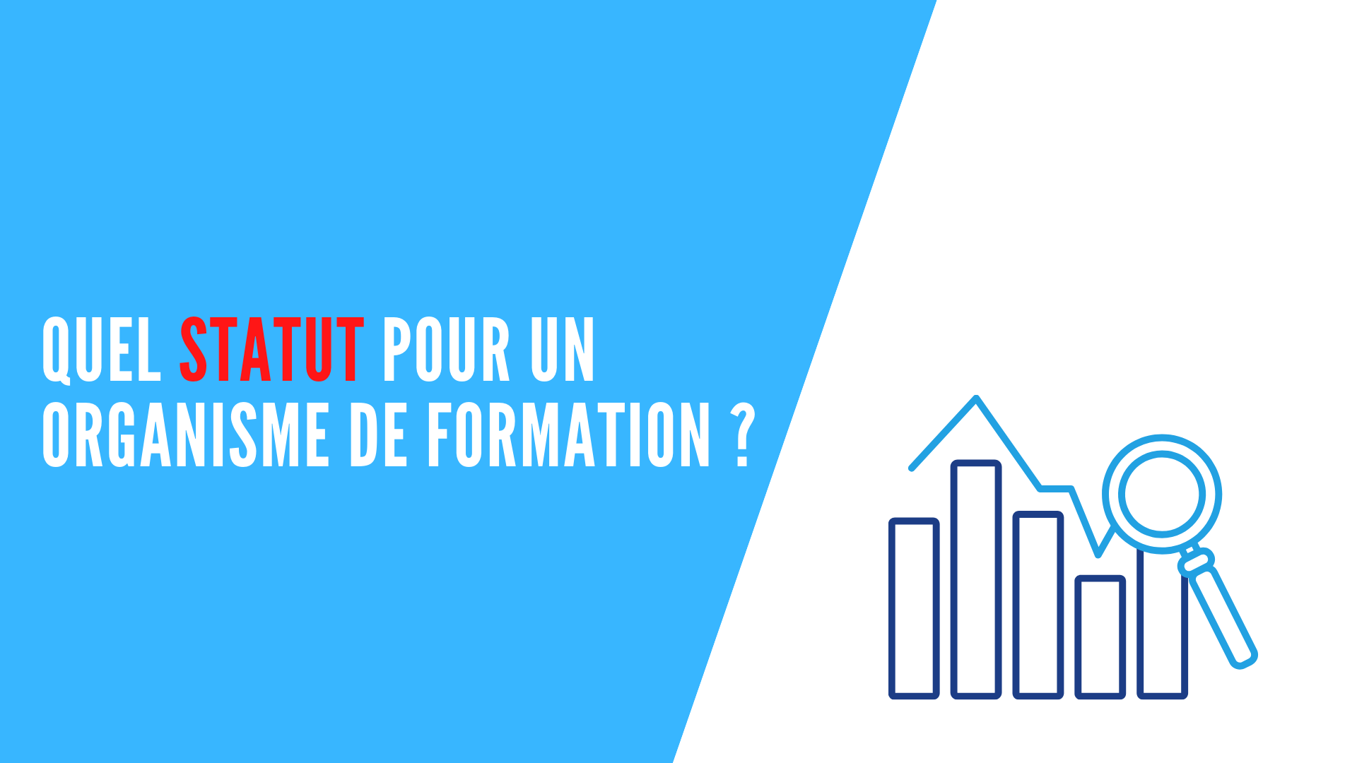 You are currently viewing Quel statut pour un organisme de formation ?