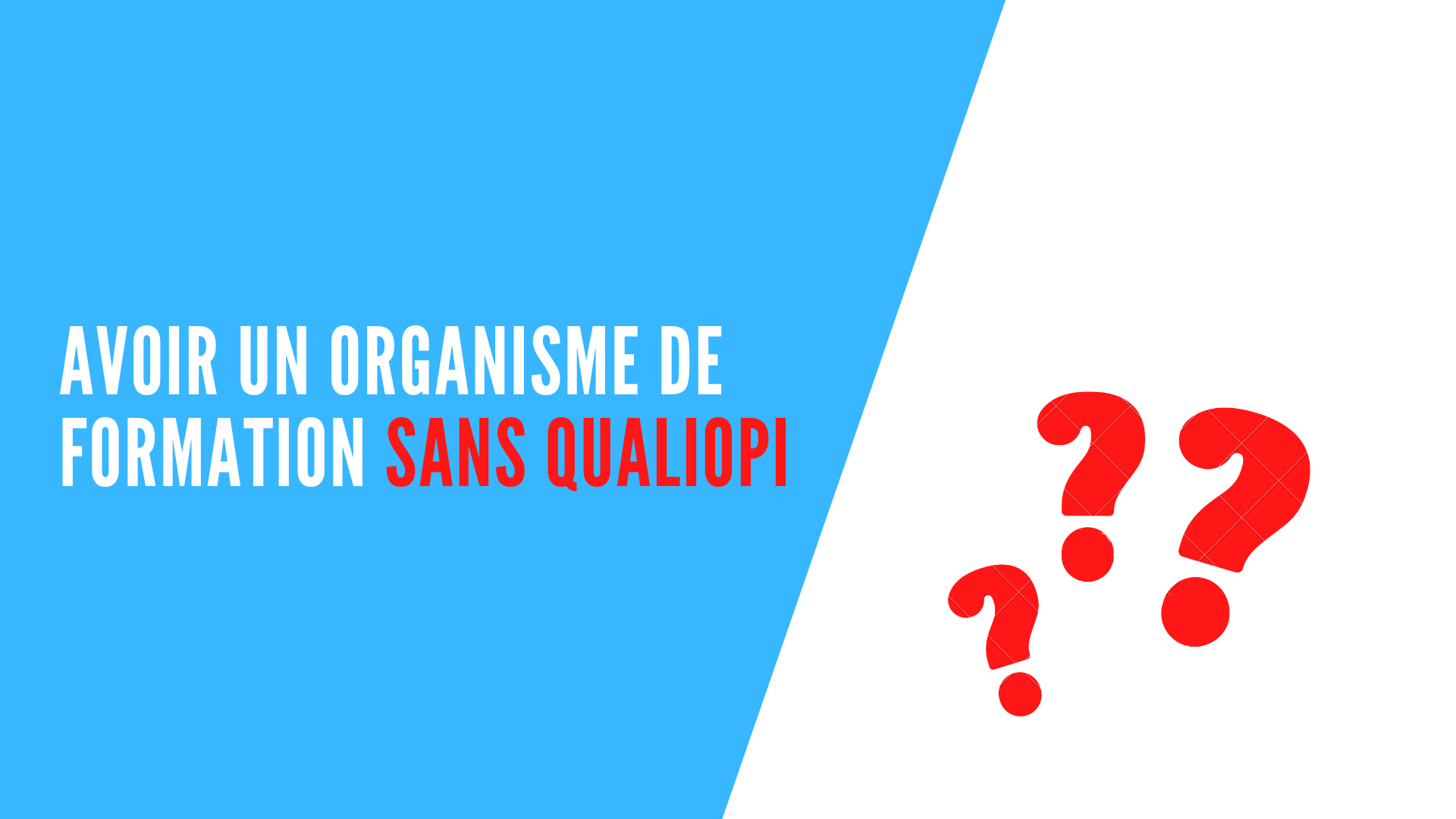 You are currently viewing Avoir un organisme de formation sans Qualiopi