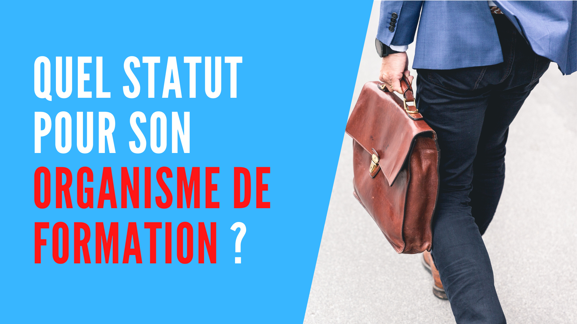 You are currently viewing Quel statut pour un organisme de formation ?