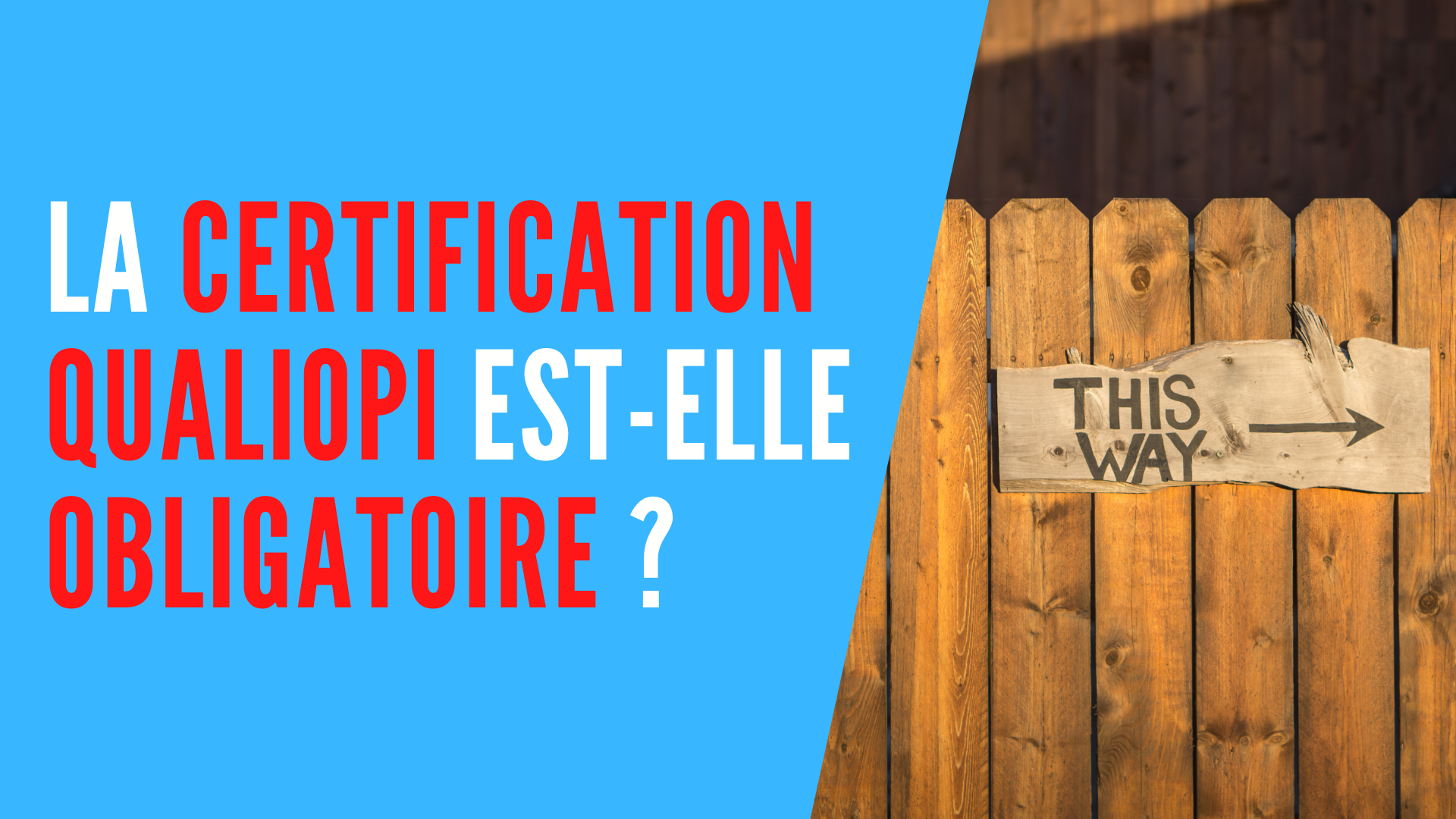 You are currently viewing Qualiopi est-il (vraiment) obligatoire pour les organismes de formation ?