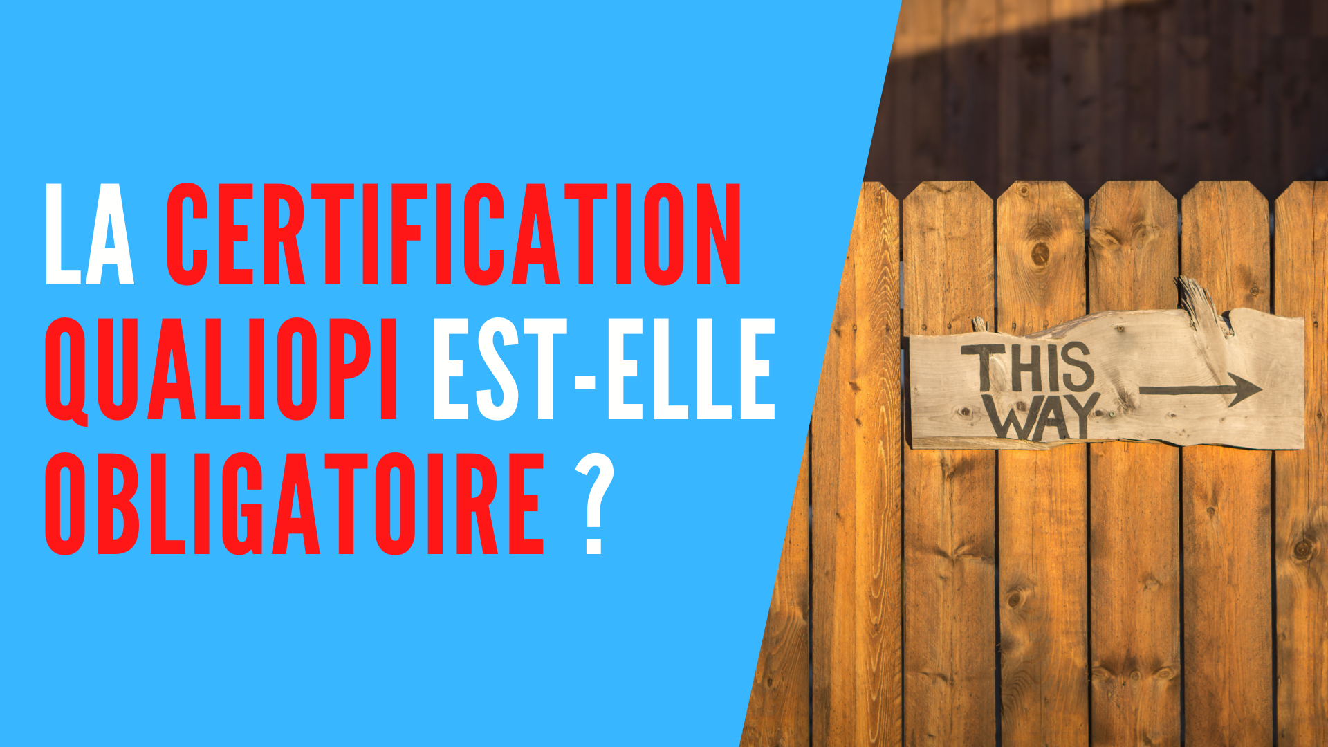 You are currently viewing Qualiopi est-il obligatoire pour les organismes de formation ?