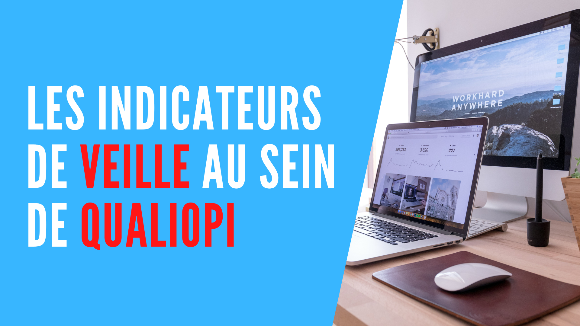 You are currently viewing Les indicateurs de veille de la certification Qualiopi