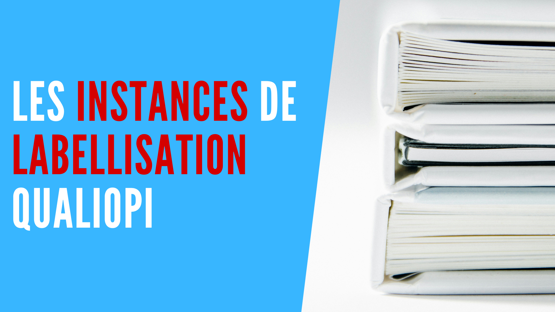 You are currently viewing Les instances de labellisation Qualiopi